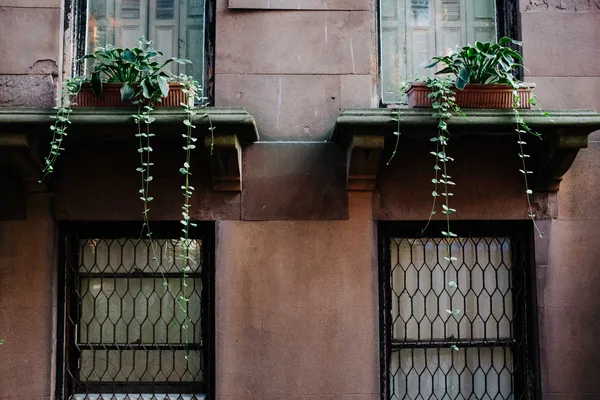 Brooklyn brownstone with planters