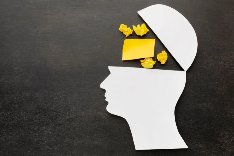 Student studying with notes